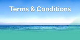 Terms and Conditions banner